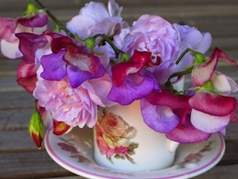 Sweet Peas