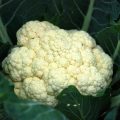 Cauliflower is good for your brain and heart