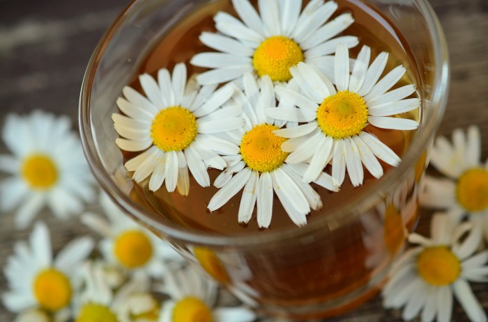 Edible uses of chamomile flowers