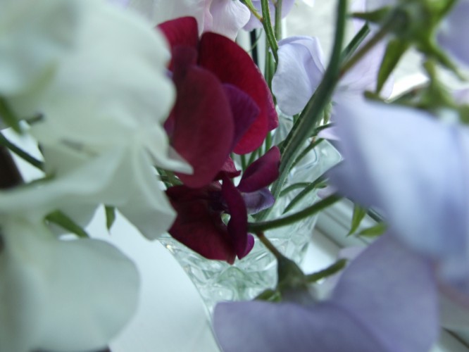 Popular Flower Arrangements for Valentine's Day