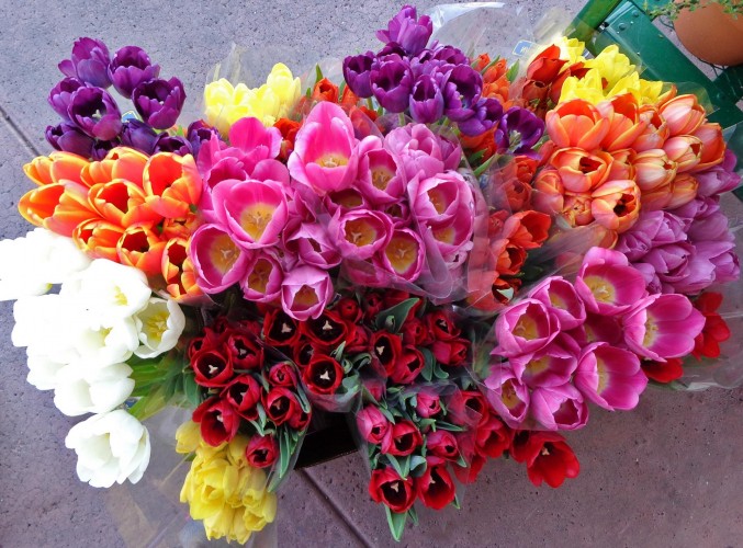 Popular Flowers to Give During Springtime